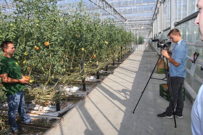 Young Urban Farmer - Markus Pannagl